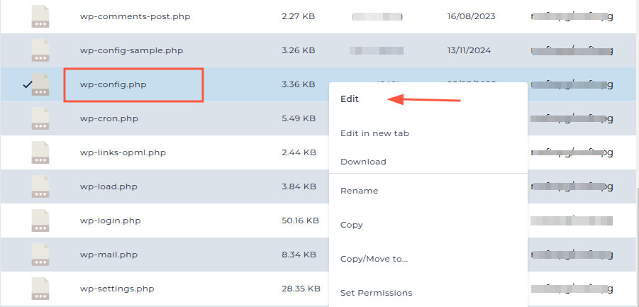 editing wp config