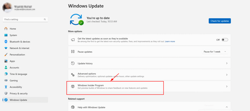 window insider program