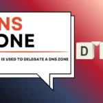 What Type of DNS Record is Used to Delegate a DNS Zone?