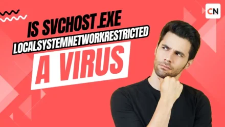 Is svchost.exe (LocalSystemNetworkRestricted) a Virus?